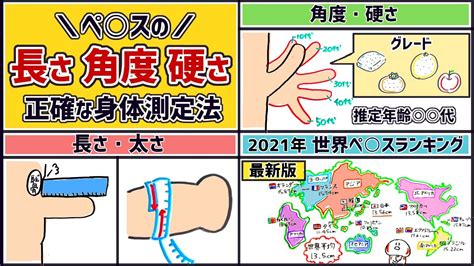 勃起時のチンコの長さ（チン長）:米国で行われてた徹底調査 –